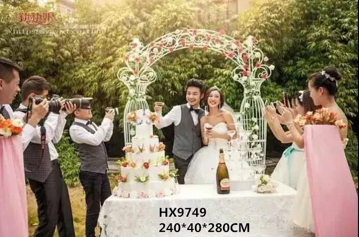 მეტალის ბაღის თაღი 240*40*280 HX9749