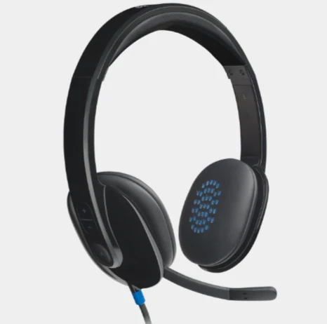 ყურსასმენი Logitech H540 Corded USB Headset/L981000480