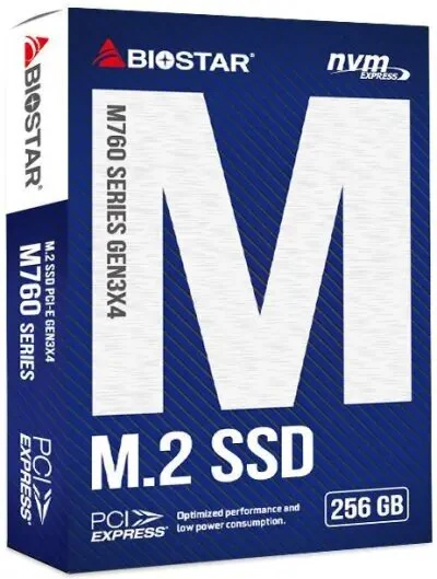 SSD დისკი Biostar M760-256GB M.2 2280 NVMe Gen3x4