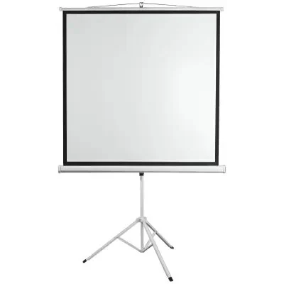 პროექტორის აქსესუარი PROJECTOR SCREEN SBOX PSMT-135-2 / 240x240cm - Tripod